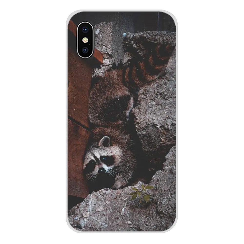 Аксессуары чехлы для телефонов цветные с изображением животных енота Huawei P Smart Mate