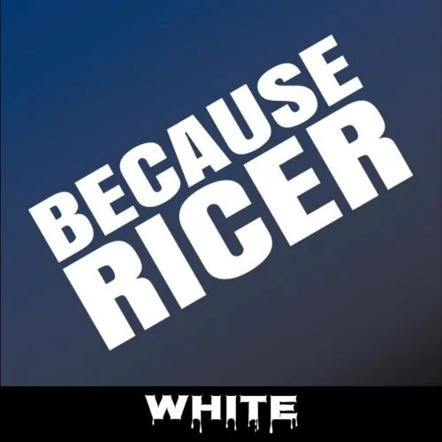 

6" BECAUSE RICER Decal Funny window vinyl Sticker JDM Racing Window Decal ill