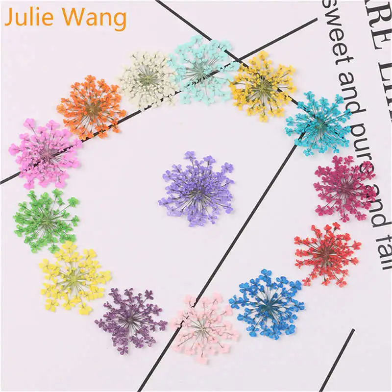 

Julie Wang 50PCS Natural Dried Lace Flowers Specimen For Charms Cabochon Necklace Earrings Epoxy Jewelry Making Accessory