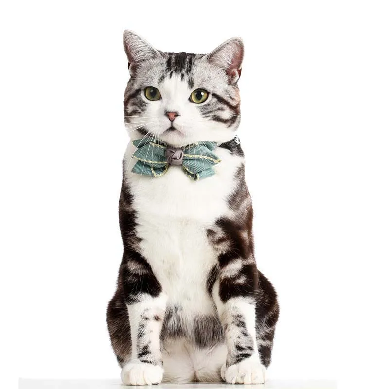 Sweet Bow Tie Princess Pet Dog Cat Collar Apparels Chihuahua Neck Decoration Necklace Collars Accessories 20E | Дом и сад