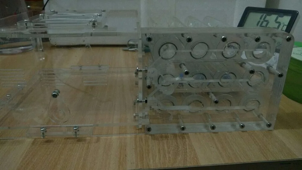 Прозрачный дом для детей 6 шт. 18x180 мм|ant toy|toy insectsant home farm |