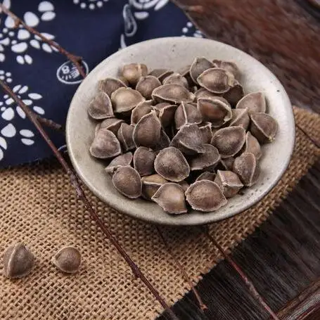 Новое сохраненное растение moringa Рождественское украшение Натуральные Сушеные 10