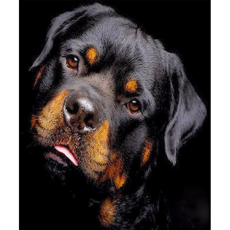 5D Diamond Painting Cross Stitch Black Spaniel Of Embroidery 3D Full round Drill Animals Dog Decoration |