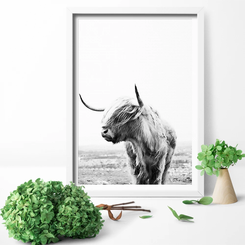 HD печатная Настенная картина Highland Cow печать и постер крупного рогатого скота