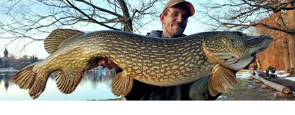 VTAVTA, 10 см, 20 г, воблеры для рыбалки, 6 сегментов, Swimbait, рыболовные приманки, кренкбейт, Мульти соединенная жесткая приманка, искусственная приманка, приманка для рыбы