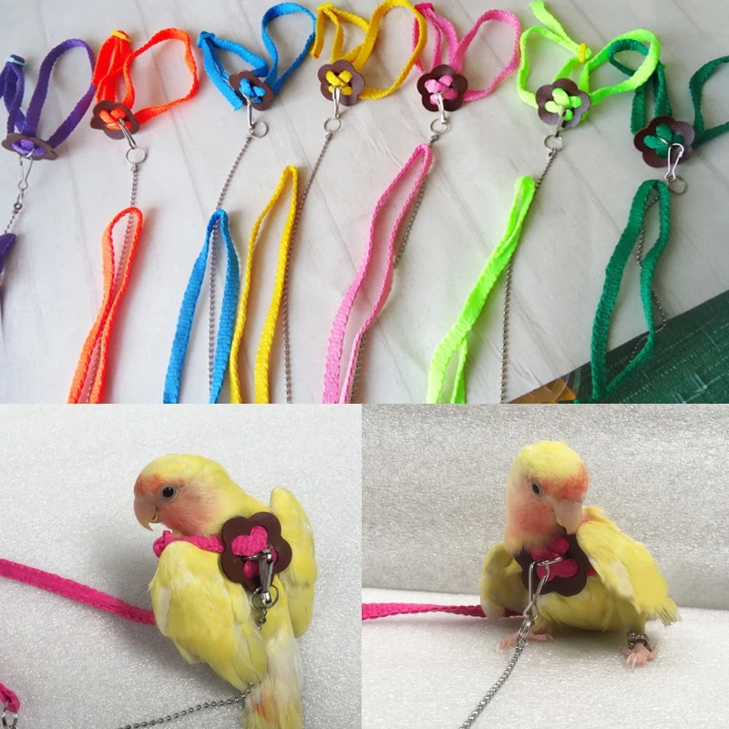 

Colorful Parrot Bird Leash Outdoor Adjustable Harness Training Rope Flying Cross Band