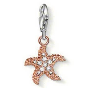 Классический 925 стерлинговый серебряный кристальный морской звезды DIY животные подвески подходят для создания браслетов и ожерелий ювелирных изделий для женщин TCH0108.