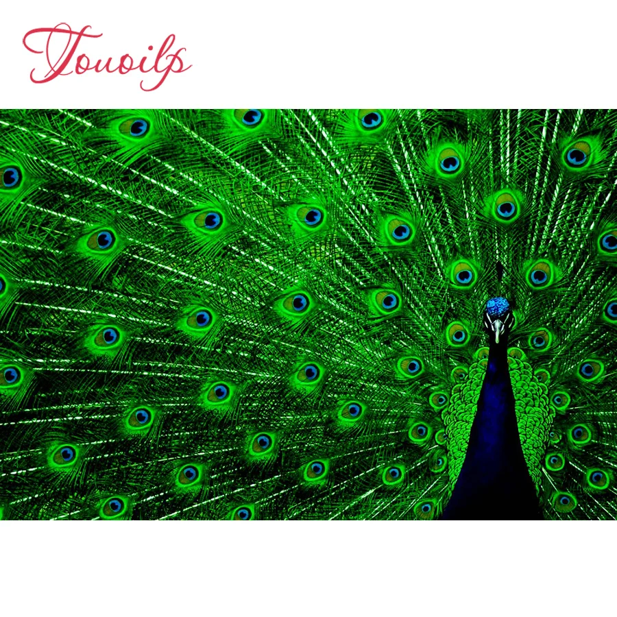 

Touoilp Beautiful peacock 5d diamond embroidery stitch crystal square&round diamond sets decorative 5d diamond painting mountain
