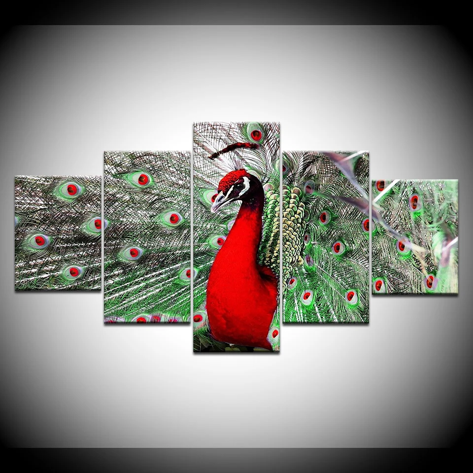 Модульная HD принты картины на холсте Wall Art Home Decor 5 шт. красный павлин Плакаты