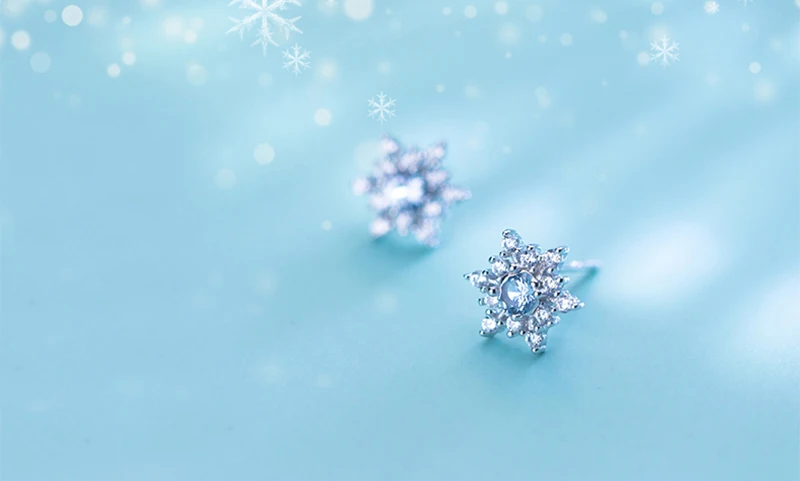Модные снежинки снежный цветок подарок Edelweiss блестящие настоящие циркониевые амулеты стерлингового серебра 925 Серьги гвоздики ювелирные изделия