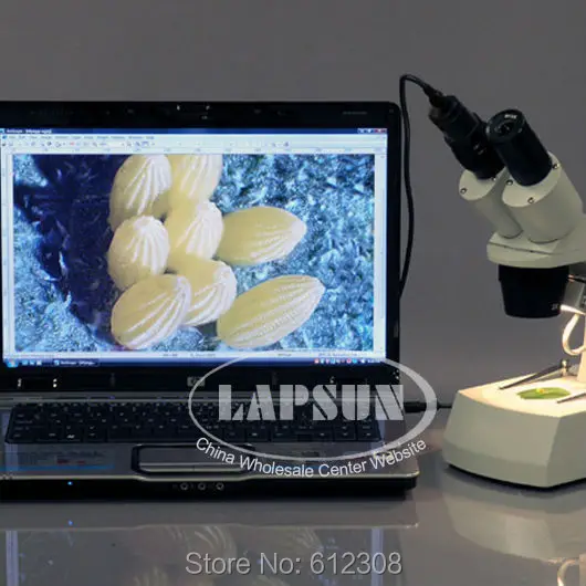 5.0MP HD USB Digital Electronic Eyepiece Camera Adapter Fo Lab Laboratory Industry stereo Microscope Picture Video Saving | Инструменты