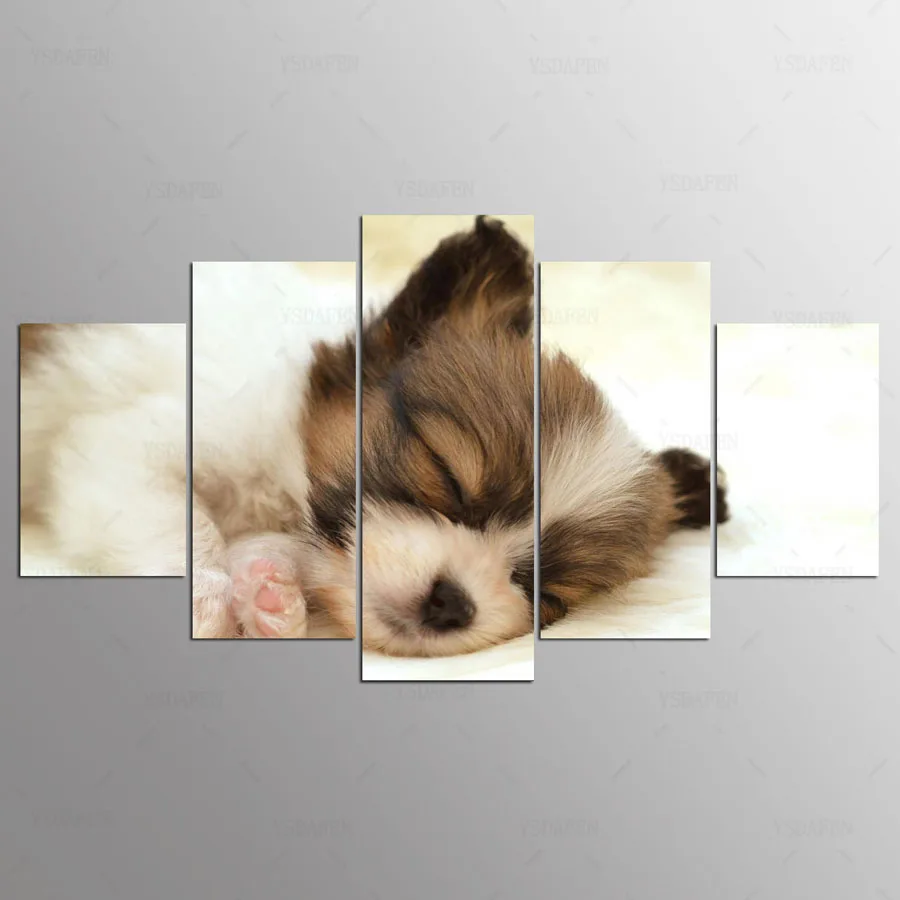 

5 panel Modern cute puppy hd Art print canvas art wall framed paintings for living room wall picture kn-01