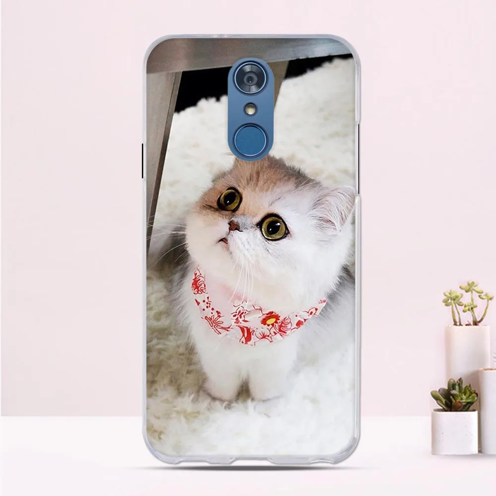 For LG Q7 Case Silicone Cover Cute Cat Q 7 Plus Q7+ Phone Protective Back alpha | Мобильные телефоны и аксессуары