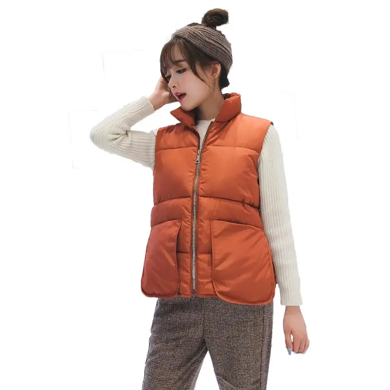 Женский зимний жилет весна-осень 2018 Повседневный теплый Женская куртка без