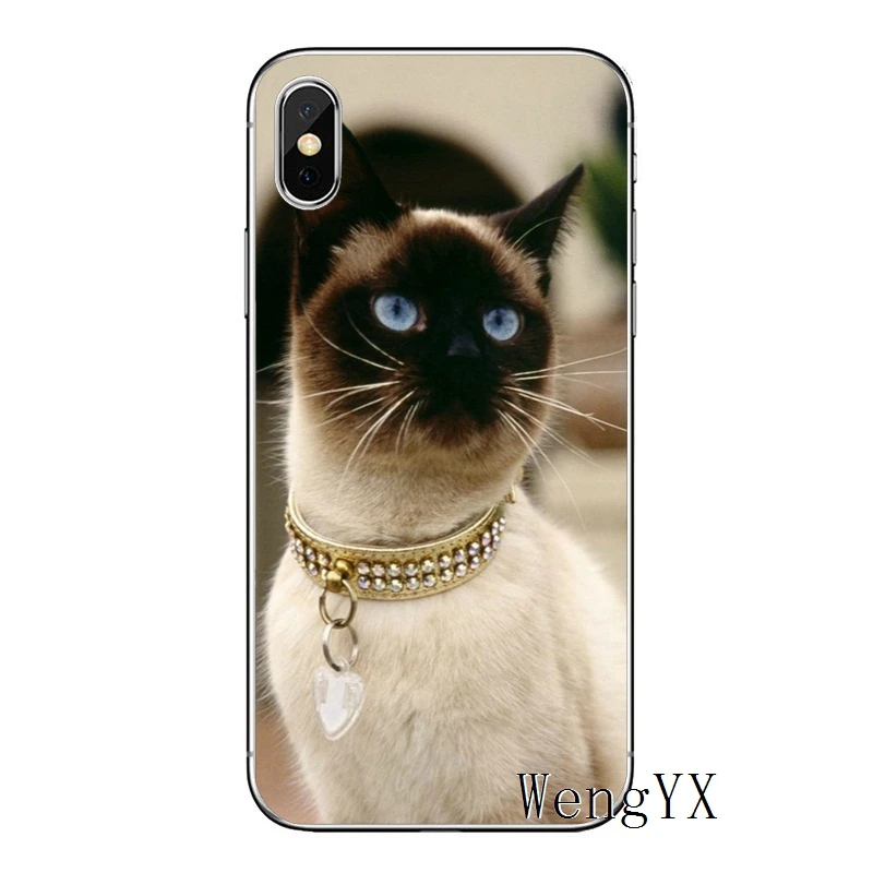 Pet сиамская кошка класса люкс для huawei Honor 10 9 8 Lite 8C 8X 7C 7X 7A 6C pro 6 X Play 6X 6A 5A LYO-L21 V8 V10 чехол Мягкие Чехлы