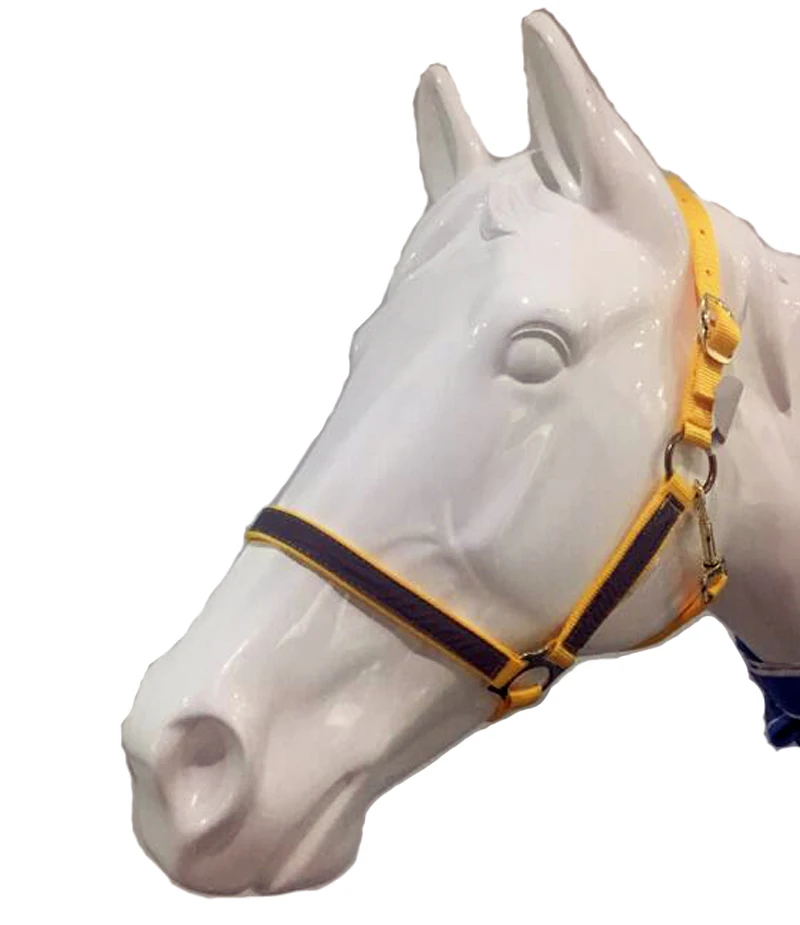 New Arrival Horse Riding Equipment Horse Halter Metal Eyelet Horse Riding Equestrian For A Horse Equestrianism Accessories