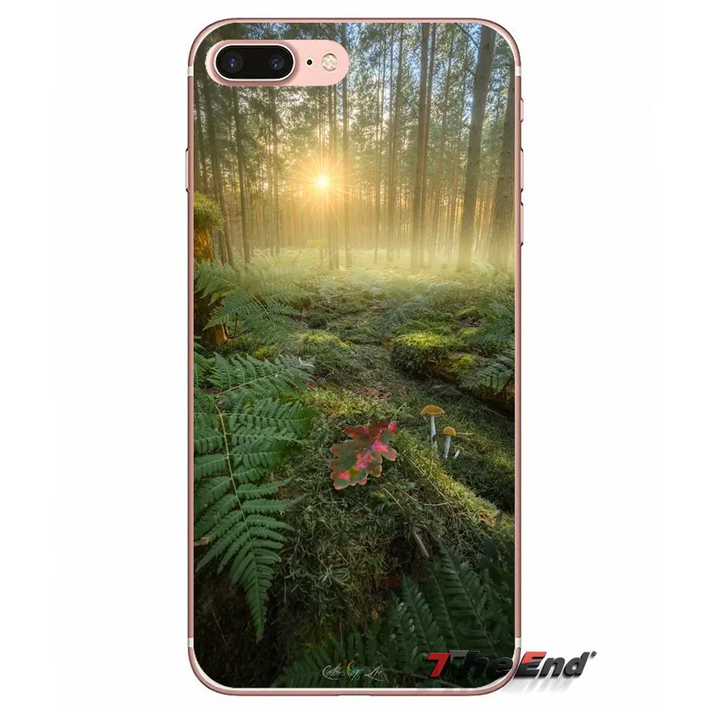 For Huawei G7 G8 P7 P8 P9 Lite Honor 4C 5X 5C 6X Mate 7 8 9 Y3 Y5 Y6 II 2 Pro 2017 Enchanted Forest mysterious TPU Phone Case | Мобильные