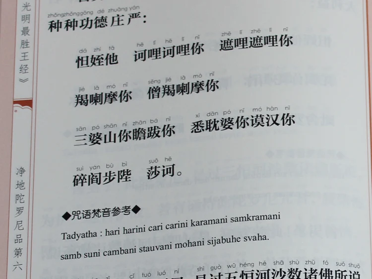 Сутра золотого света с пин Инь/Буддийские книги в китайском издании|buddhist books|chinese