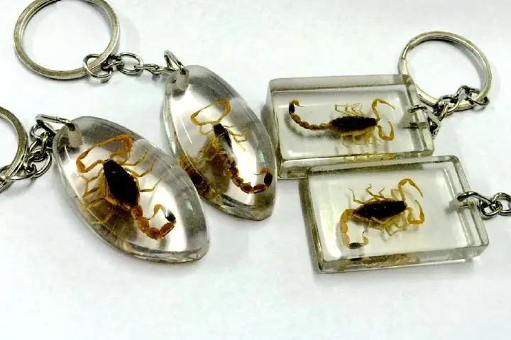 

12 pcs keychain natural gold color scorpion lucid design fashion jewelry