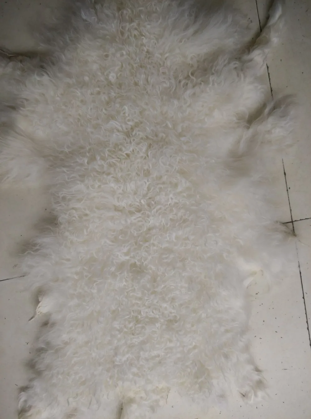 

wholesale actual color lamb fur skin