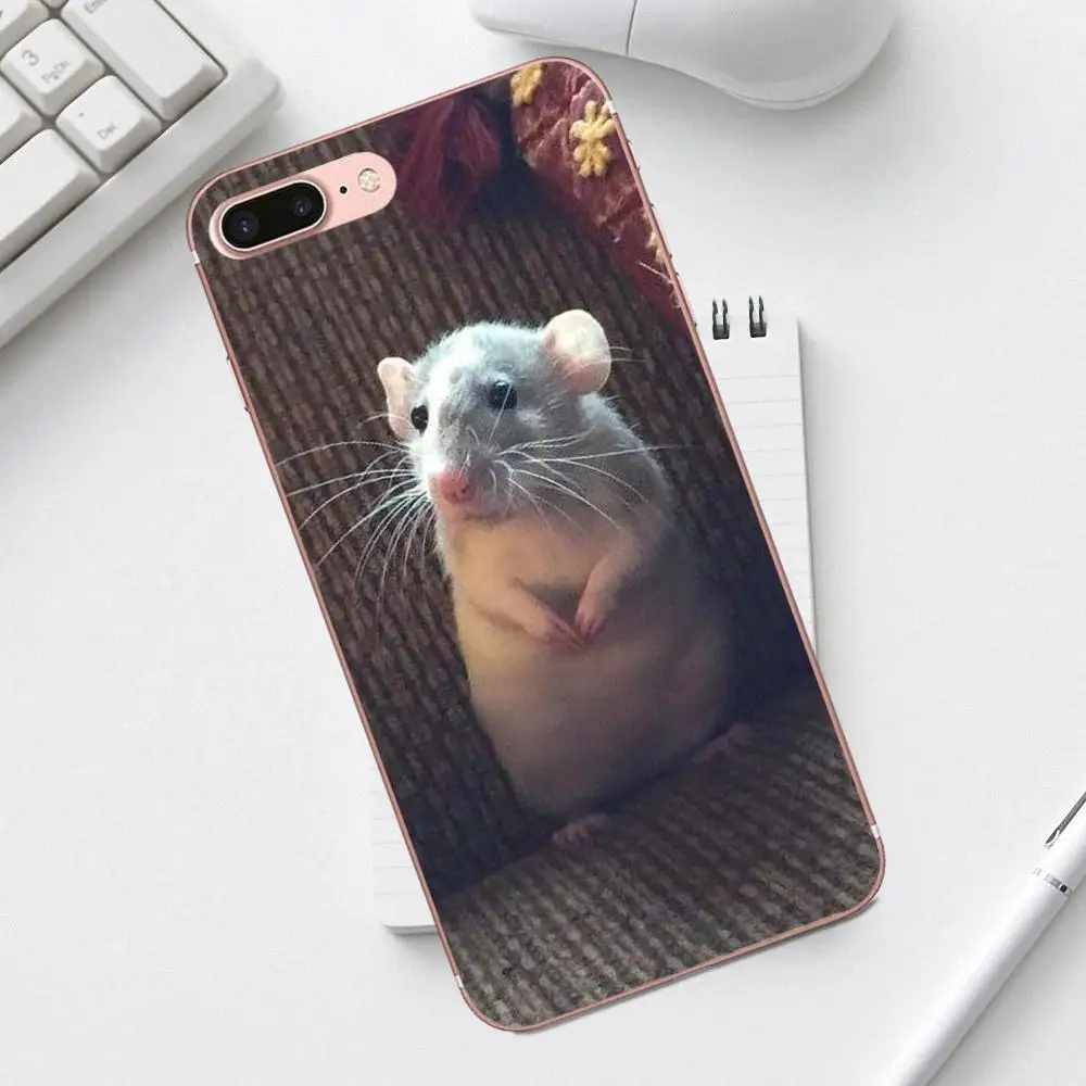 Qdoupz граффити крыса носить очки Ist Banksy для iPhone 4 4S 5 5C SE 6 6S 7 8 Plus X XS Max XR Galaxy A3 A5 J1 J3 J5 J7