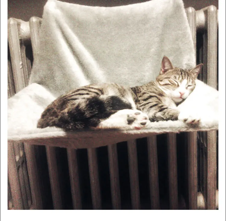 Подвесная кровать для кошки|Кровати и подстилки кошек| |