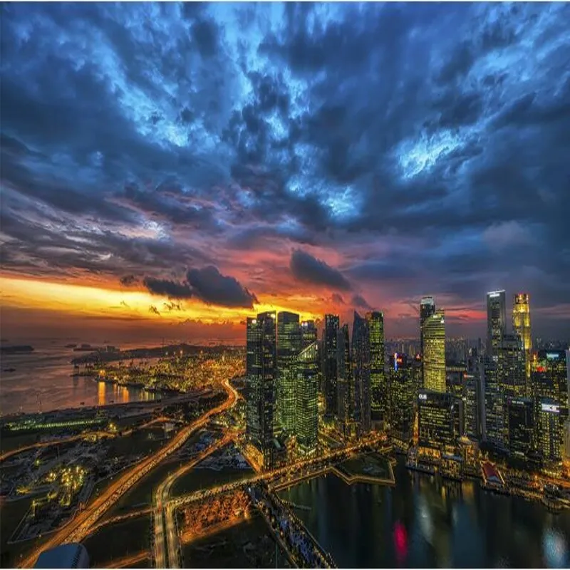 Большие фрески на заказ wellyu городские пейзажи ночные обои нетканые |