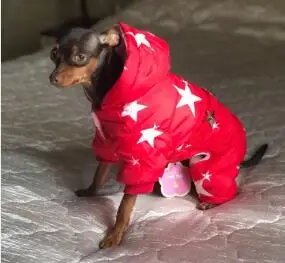 Все звезды зимняя теплая одежда для собак водонепроницаемая куртка для питомца Чихуахуа Одежда из Йоркшира для собак