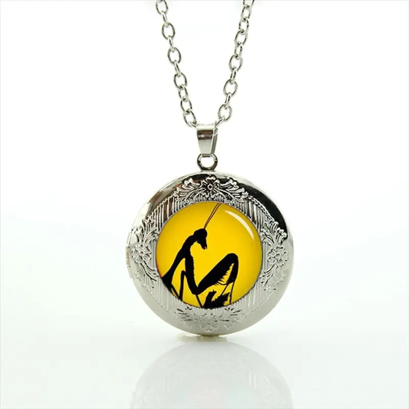T450 TAFREE, новинка, красный медальон, ожерелье, Модный кулон в виде птиц для женщин, Свадебный Жених, лучшие подарки, ювелирные изделия T553 - Окраска металла: T450