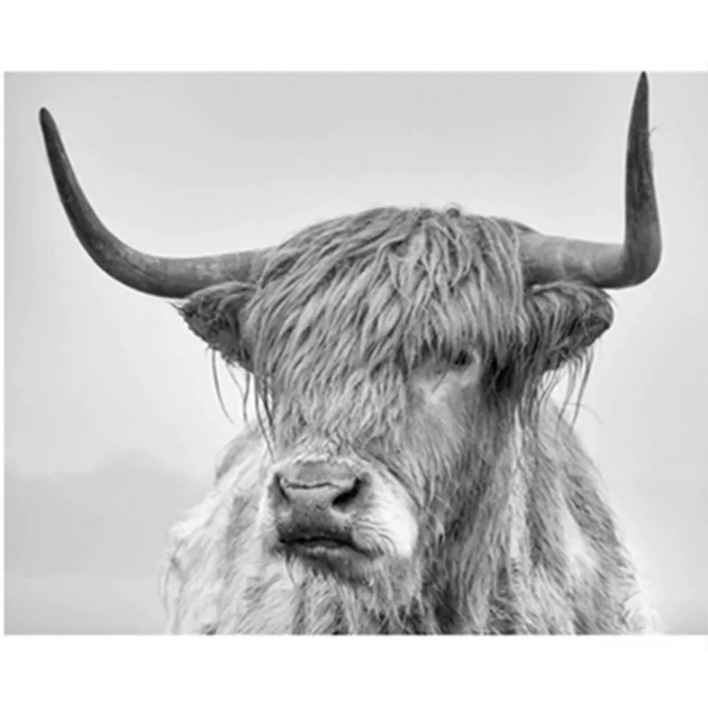 Картина по номерам Сделай Сам Прямая поставка 40x50 50x65 см серая длинная корова