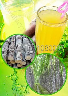 Электрическая соковыжималка для сахарного тростника машина с 4 роликами|sugarcane