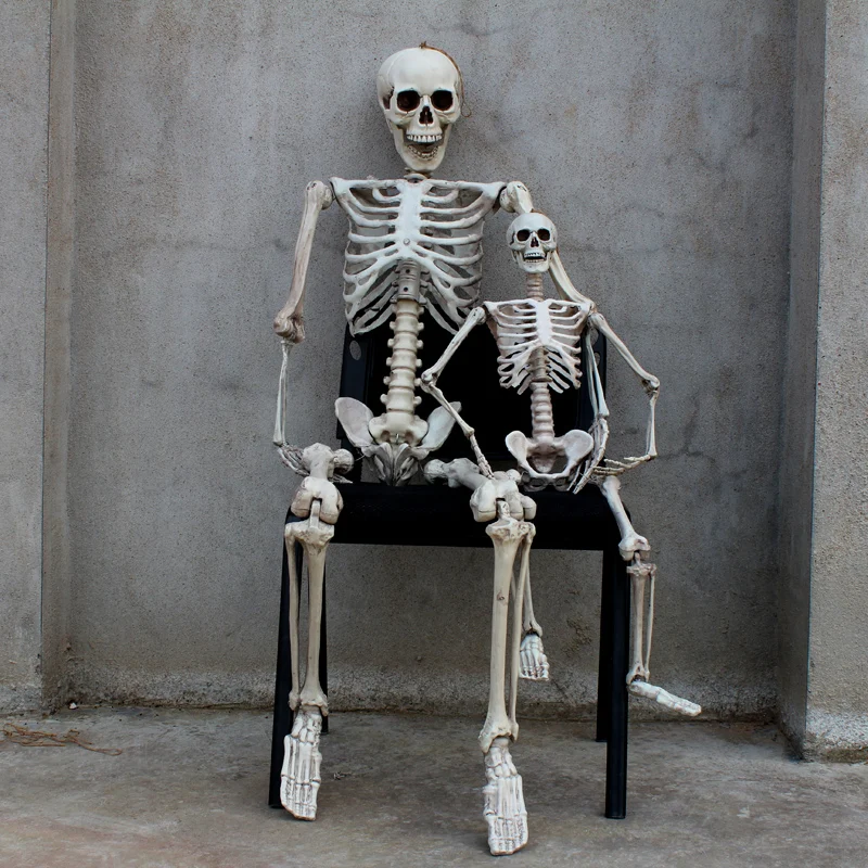 

165cm Terror Halloween props haunted house Room Escape artificial human skeletons model frame tomb-raiding Adult skull bones