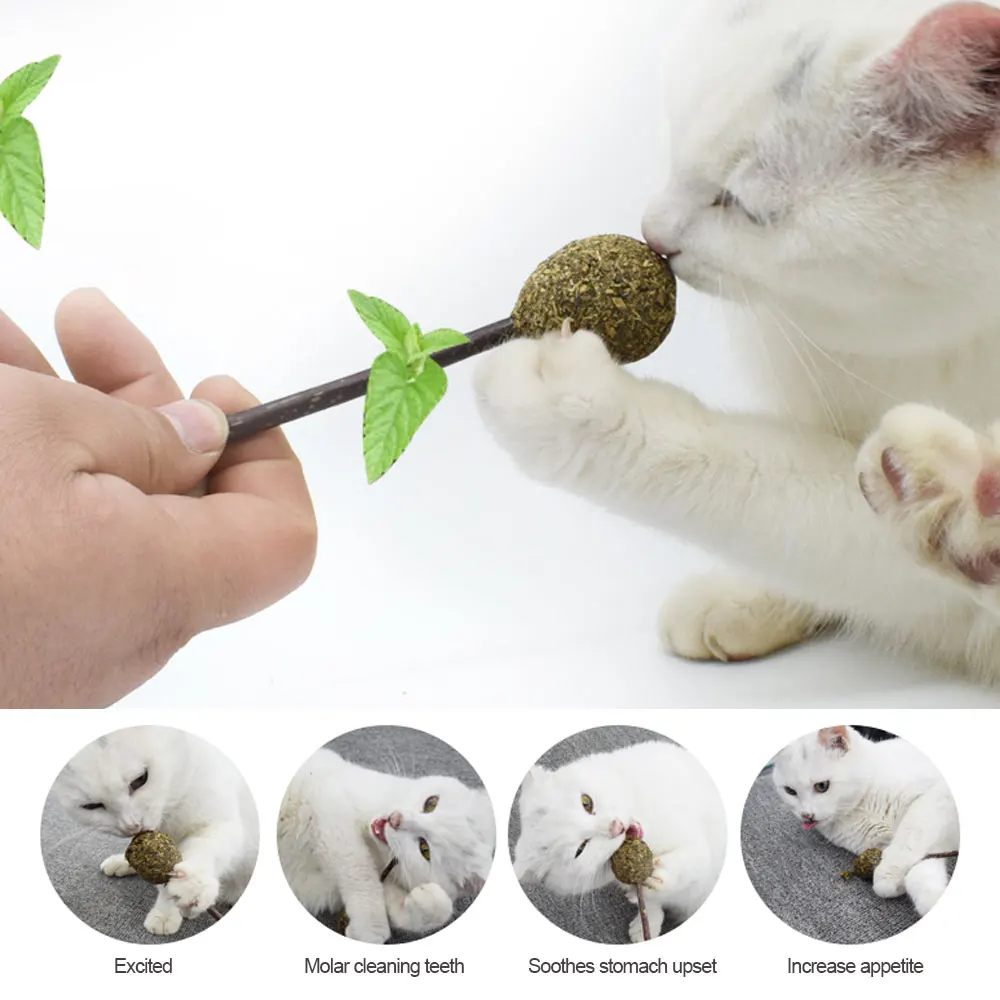 Pawaca 1 шт. кошка игрушка натуральный кошачий леденец угощения для кошек с