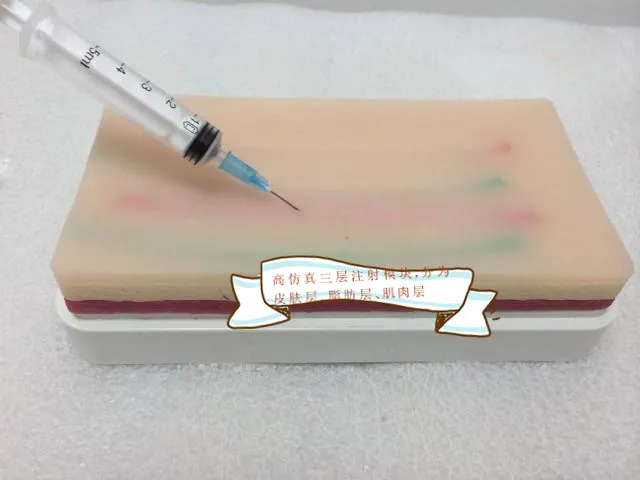 Многофункциональный внутримышечный тренировочный модуль для кожи и вены