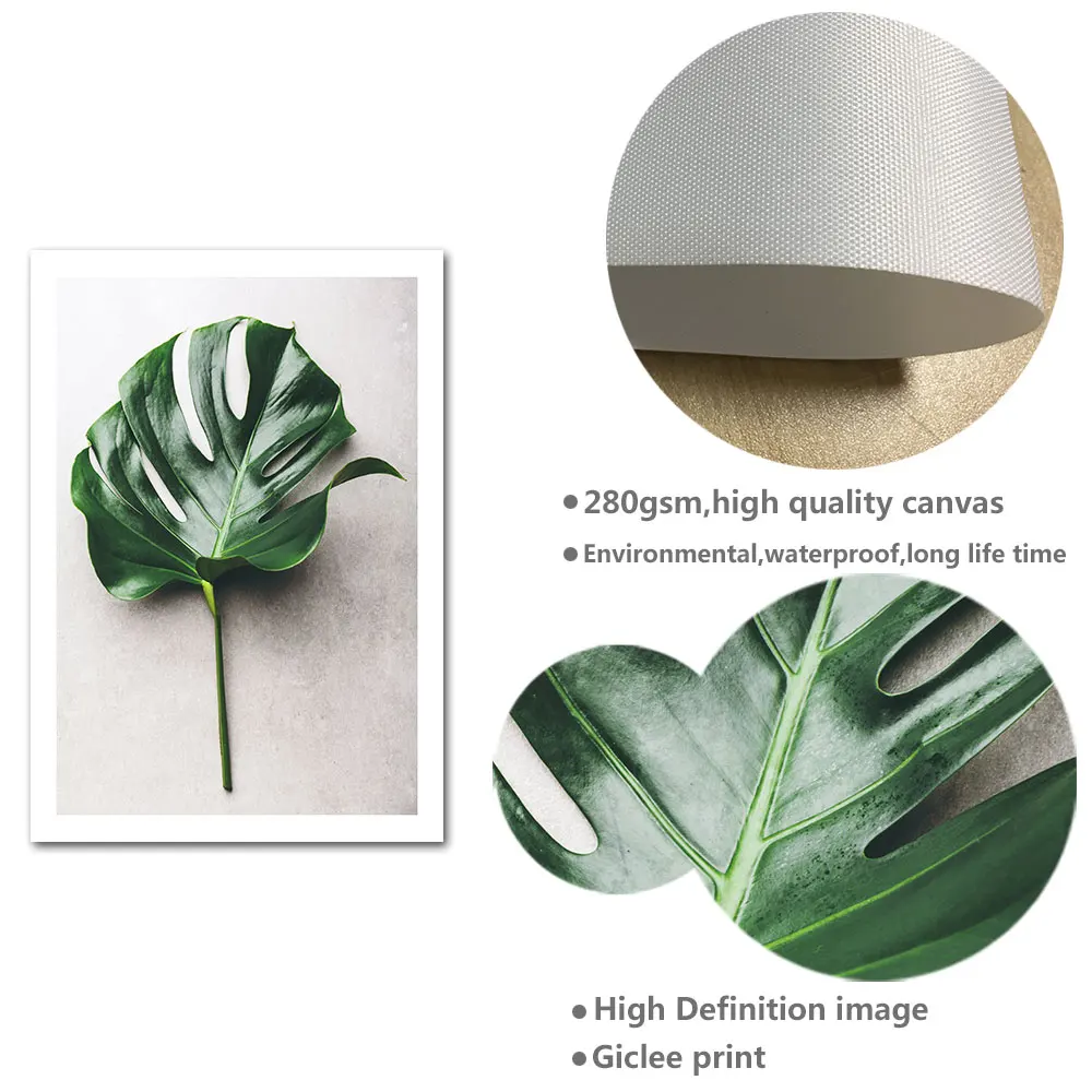 Растительный плакат в скандинавском стиле Monstera Leaf Succulent скандинавский холст с