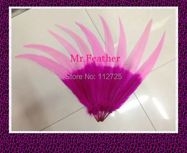 

EMS Free Shipping 60pcs Pheasant Silver Feather Tail 60-65cm 24-26 inches Pheasant tails lady amhurst pheasant tail Feathers
