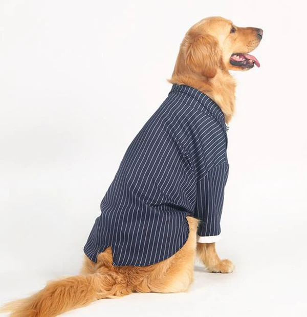 2016 новый дизайн модный костюм в полоску с бантом для большой собаки красивые