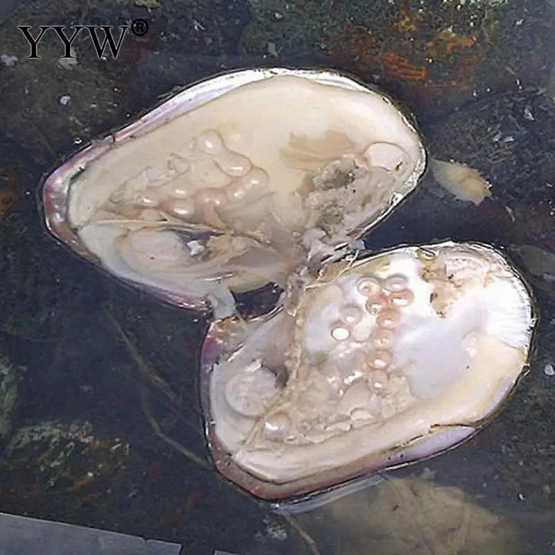 Вакуумная упаковка устричные желания пресноводные культивированные жемчужные