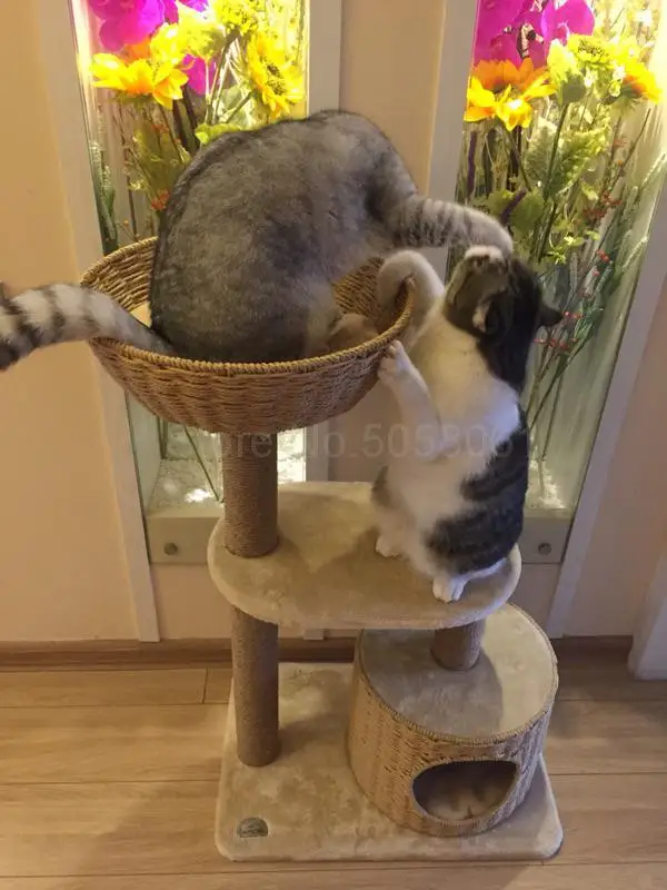Набор лазания для кошек сизаль кошачий наполнитель домик на дереве кошачий каркас прыжки мебель экспорт товары для кошек - Цвет: ml1