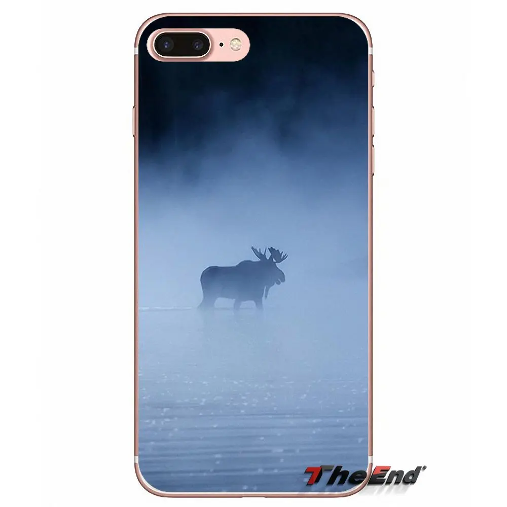 Силиконовый ТПУ чехол для Huawei G7 G8 Ascend P7 P8 P9 Lite Honor 4C 5X 5C 6X Mate 7 8 9 Y3 Y5 Y6 II Pro Animal Alaska Bull
