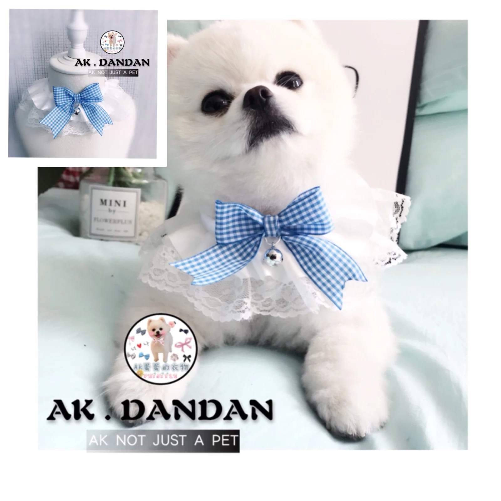 

AK eggs, pets, cats, dogs, handicrafts, bibkets, biblets, summer lace, bells, bells and bells.
