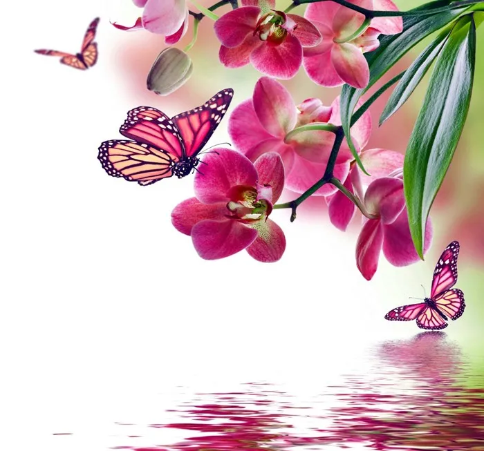 

Diamond picture diamond painting kit rhinestone painting diamond painting Flowers butterfly full round diy diamond painting