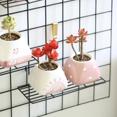 Розовый цветочный горшок бонсай для офиса рабочего стола балкона мясо зеленое