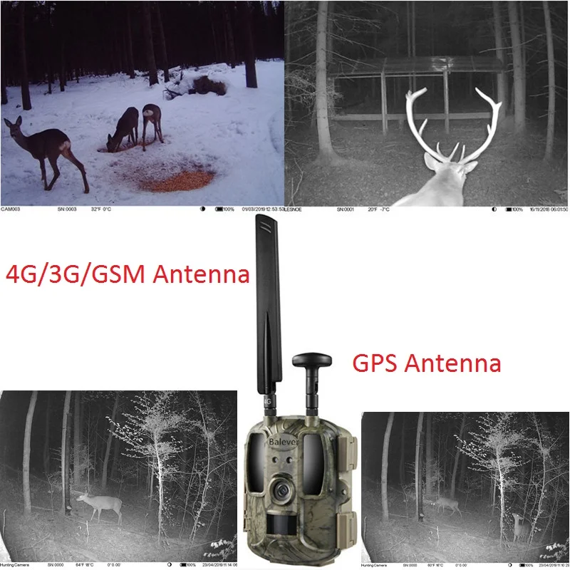 Balever производитель 4G 3G 2G LTE WCDMA GSM Беспроводная сотовая игровая охотничья камера IP66