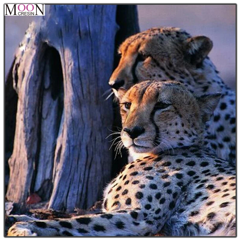 

MOONCRESIN 5D Diy Diamond Painting Cross Stitch Two Leopards Look Into The Distance Diamond Mosaic Full Round Diamond Embroidery