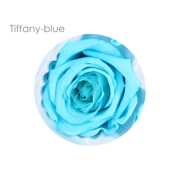 Tiffany-blue Консервированные цветы высокого качества 4-5 см, подарок на день матери, материал для свадебных украшений, подарок, настоящие лепестки - Цвет: Tiffany-blue