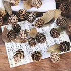 5 шт.лот, натуральные мини сосновые орехи, Cedar Fruit для украшения дома, свадьбы, елки, Аксессуары для фотографии, реквизит для фотографий