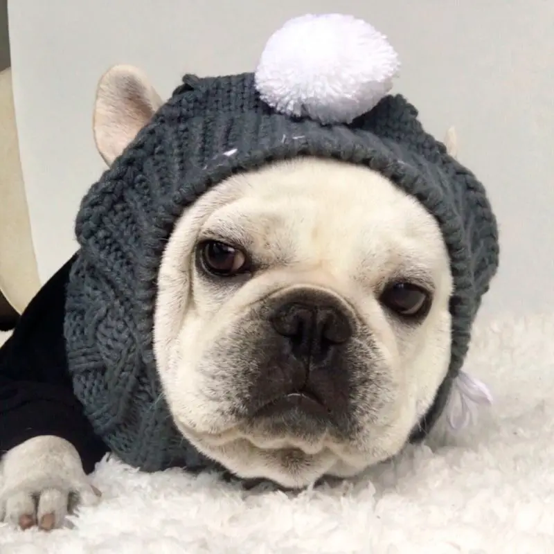 Шляпа для животных вязаная зимняя теплая Рождественская шапка с ушками