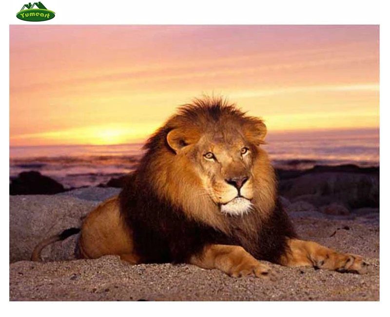 3d Алмазная картина животное алмазная вышивка кристалл квадратный алмаз набор