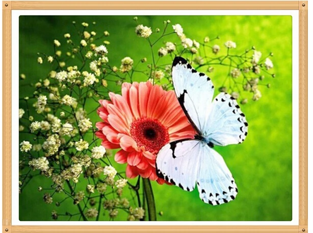 Красная Гербера бабочка 30x40 Алмазная вышивка крестиком полная Вышивка свадебное